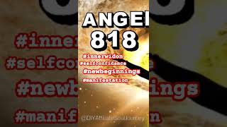 818 Twin Flame Angel Number 818 Calls Twin Flames Together Hidden Knowledge [upl. by Nnairet]