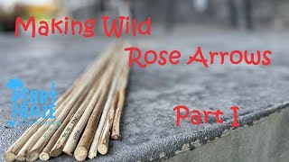 Making Arrows from Wild Rose Part I [upl. by Pigeon]