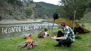 Peaceful River Camp with my Dog in Murray Cod Country [upl. by Pelletier]