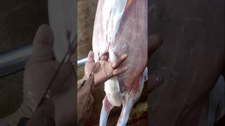 Amazing goat ox Pakistani mutton cutting trending beefcuttingmarket beefdishes reelsvideo [upl. by Shayne]