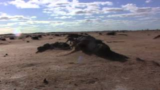 The Silent Killer of the Lower part Southern Australia  Salinity and Soil Erosion [upl. by Ailehs]