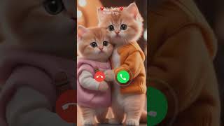 Mi telephone ringtone calling calls ringtone cats [upl. by Campman422]