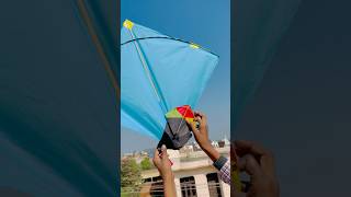 SMALL KITE VS BIG KITE 🤩 shorts youtubeshorts [upl. by Hsilgne]