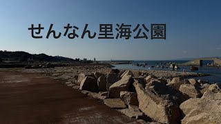 2024年1月9日火曜日せんなん里海公園😊Live配信 [upl. by Enilorak]