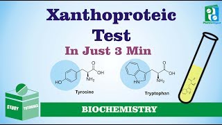 Xanthoproteic Test Just in 3 Minutes [upl. by Cyma]