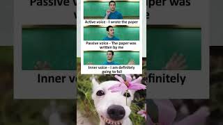 Dog Reacts to Students’ Inner Panic Over Passive vs Active Voice 😂🐶relatable shorts funny [upl. by Ledua]