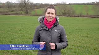 Iuliia Kovalova Corteva Cereal Fungicides Technical Manager introduces Univoq™ fungicide [upl. by Nauhs]