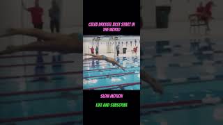 CAELEB DRESSEL START DIVE swimming dive diving slowmotion [upl. by Pattani]