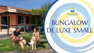 Bungalow de luxe small  Pappasole Camping Village [upl. by Lleuqram]