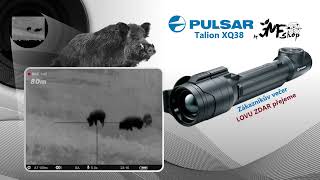 Pulsar Talion XQ38  Lov divočáka  Hunting wildboar [upl. by Ahsitauq695]