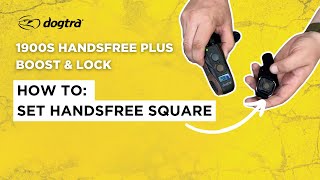 HANDSFREE SQUARE SET UP  Dogtra1900S HANDSFREE PLUS Boost amp Lock ECollar [upl. by Raina]