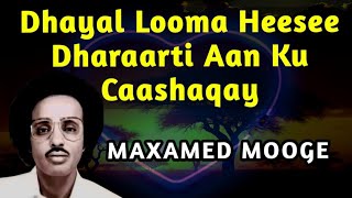 dhayal looma heesee  dharaartii aan ku caashaqay  maxamed mooge dhayal looma heesee [upl. by Drofnas]