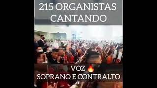 Veja o que essas 215 organistas fizeramHinos CCB [upl. by Lednahs]