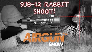 The Airgun Show  Day and night rabbit hunting  Daystate Wolverine air rifle review [upl. by Rabkin]