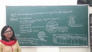 Food preference in tribolium for BSc part 3 Zoology practical [upl. by Anjela601]