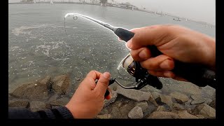 Fishing Multiple spots in Long Beach [upl. by Nila]