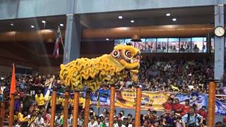 Yick Nam Inanam Sabah Malaysia Lion dance Team B 2014 [upl. by Hsevahb]