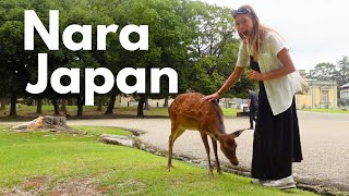 Nara Japan Vlog 🇯🇵 Feeding Nara Deer 🦌 and trying Mochi [upl. by Rustin]