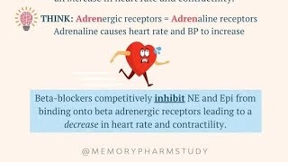 Beta receptor blockers  Propranolol Atenolol and butaxamine  ANS pharmacology [upl. by Bryan581]