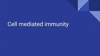 CELL MEDIATED IMMUNITY For AQA OCR and Edexcel A level Biology [upl. by Ahsile]