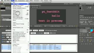 ptTextEdit Script Demo [upl. by Lehcin]