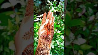 My Own Organic Henna Color❤ shorts mehndi henna organicmehndi apiart [upl. by Kela763]