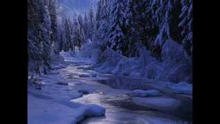 Dalina  Cold Mysteries Esoteric Relaxation Folk Ambient Music [upl. by Nylzor]