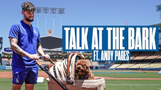 Talk at the Bark with Andy Pages  Presented by TAVO [upl. by Lauraine]