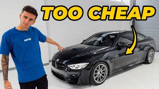 WHY YOU SHOULD BUY A F82 M4 IN 2024  MSS amp Evolve Dampers 2FORGE ZF8 Wheels amp Handling Upgrade [upl. by Shanleigh895]