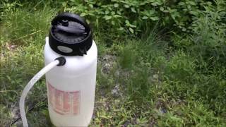 How to kill Pokeweed Japanese Knotweed and Bamboo [upl. by Rothschild]