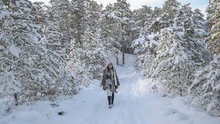 Loch Morlich and Glenmore Forest Park in Snow Winter in Aviemore Cairngorms [upl. by Grimes466]