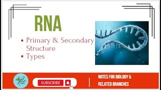 Structure of tRNA [upl. by Donaugh]