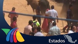 Tradicional Santiagada sueltan 8 toros  Noticias de Hidalgo [upl. by Lienhard]