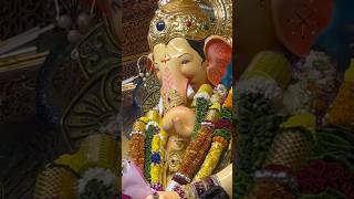 Lalbaug Cha Raja 2024 lalbaugcharaja shorts navratri [upl. by Krutz]