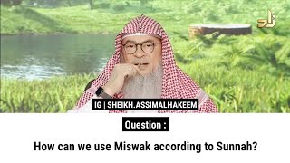 How can we use Miswak according to Sunnah  Sheikh Assim Al Hakeem [upl. by Lad]