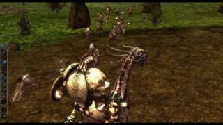 DARKFALL ONLINE  Large Group PVP EPIC VID [upl. by Mazonson]