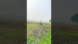 KTM offroad 🔥🦅🦅🔥ktm offroad ktmkingtrendingreels instagramrelsviraltreng🔥🦅💪 [upl. by Yeslaehc488]