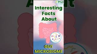 Interesting Facts about the Gut Microbiome  FMD ImuPro [upl. by Asiar833]