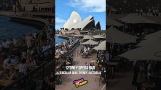 Sydney Opera Bar shorts [upl. by Martinic]