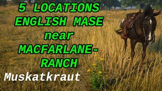 English Mace near Macfarlane´s Ranch Red Dead Redemption 2 Online [upl. by Ronoc206]