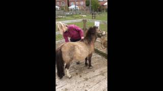 Mowbray School Farm  What we get up to everyday2016 [upl. by Ahsac]