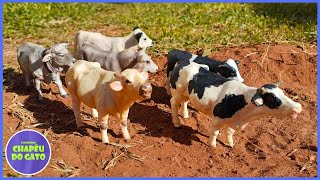 Conduzindo as Vacas pela Estrada até a Fazenda Uma Jornada Rural [upl. by Vassar915]