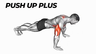 How to Do Push Up Plus 🔥  Beginners Push Ups Course [upl. by Eerat]