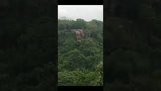 CHHATTISGARH GHATI bestturturiyavideovairalvideo [upl. by Anilehcim]