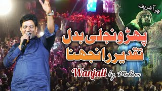 Wanjli by Malkoo  Sufi Kalam 2024  Choha Shareef [upl. by Halehs]