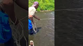 मछली जल की रानी है🥰🥰ytshorts shortsviral shorts fishing funny comedy shortsfeed trending [upl. by Latreese440]