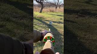 Blowgun practice shots blowguns hunting archery bowsandarrows hoghunting [upl. by Yrneh]