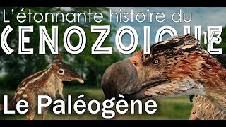 Le paléogène  Cénozoïque 1  Paléontologie  Simplex Paléo [upl. by Amlev]