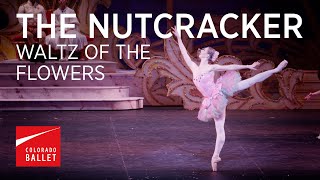 THE NUTCRACKER  Waltz of the Flowers [upl. by Akcinehs92]