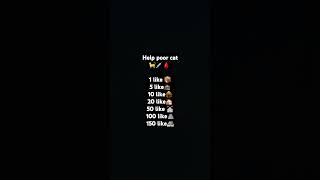 Please help poor cat help poor catyoutube part 1 [upl. by Nyar888]